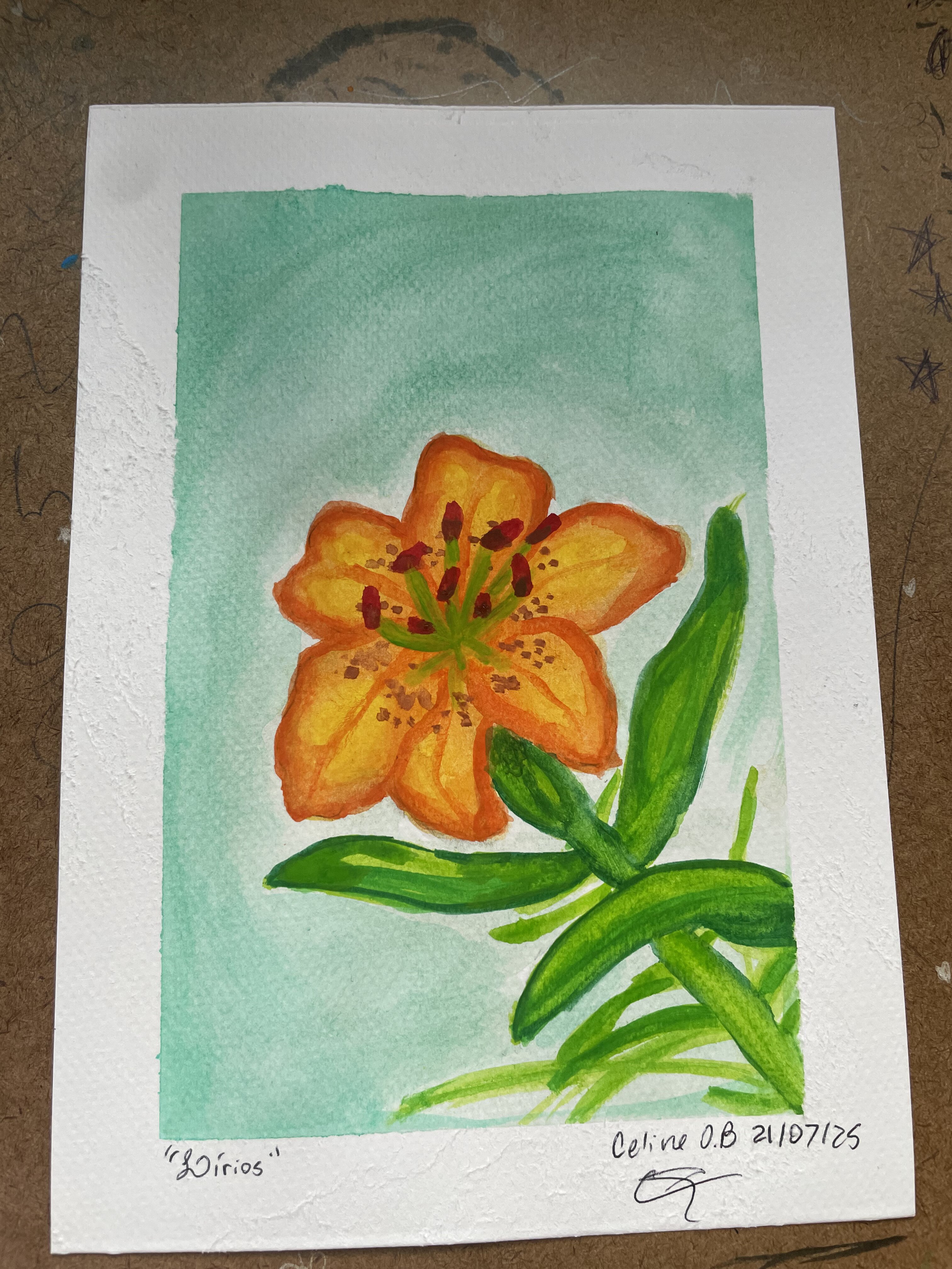 Watercolor lily painting - Dirius